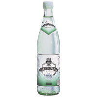 Peterquelle 0,5 lt x 20 Fl