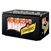 Schweppes Wildberry 0,2 lt x 24 Fl.