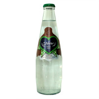 Steirerquelle mild 0,33 lt x 20 Fl