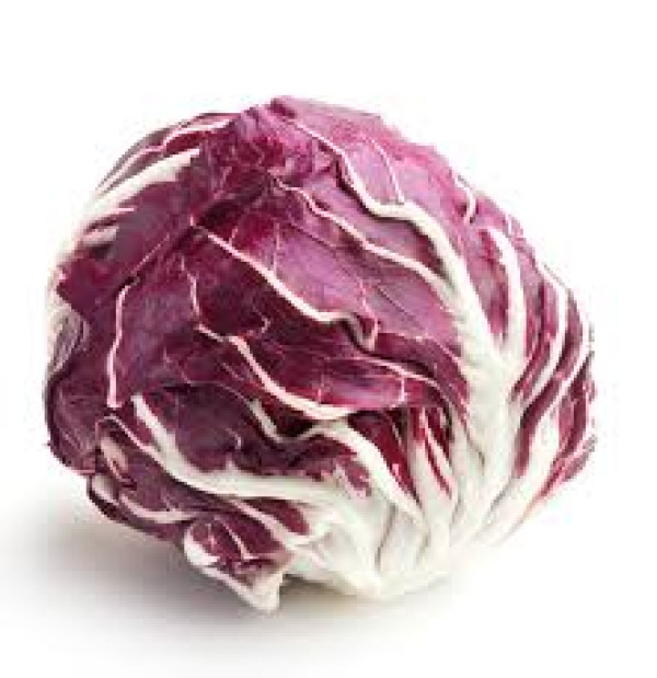 Radicchio